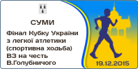 National Cup Race Walking. National Competitions Race Walking in honour V.Holubnycheho